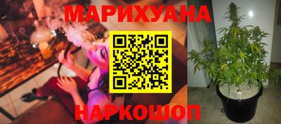 прущие грибы Бугуруслан
