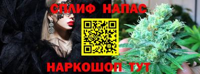 не бодяженный Будённовск
