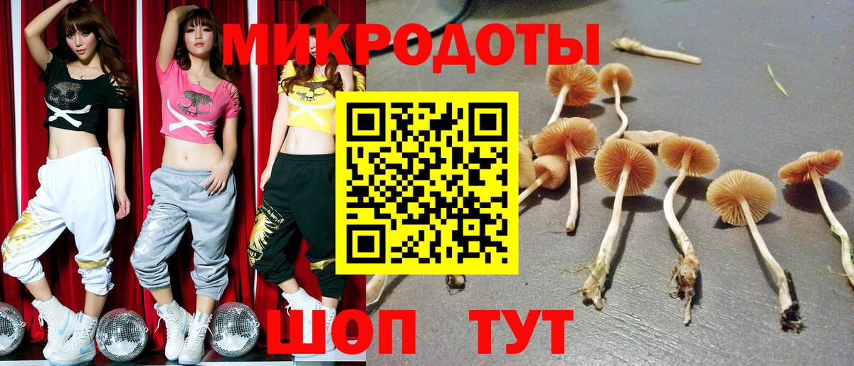 Мегион  Галлюциногенные грибы ЛСД  Вход с VPN 
